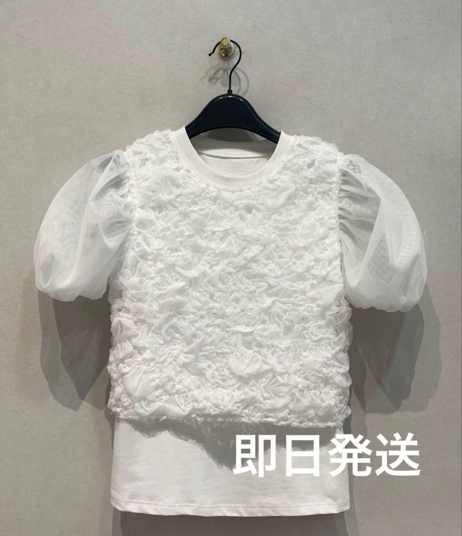 【SALE❣️】TULLE VEST LAYERED TOPS CLANE