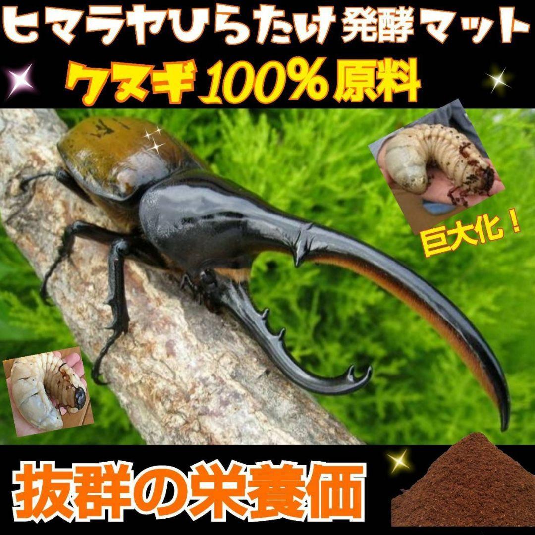 大量飼育に！良質　発酵カブトムシマット【500リットル】幼虫が丸々太る添加剤入り