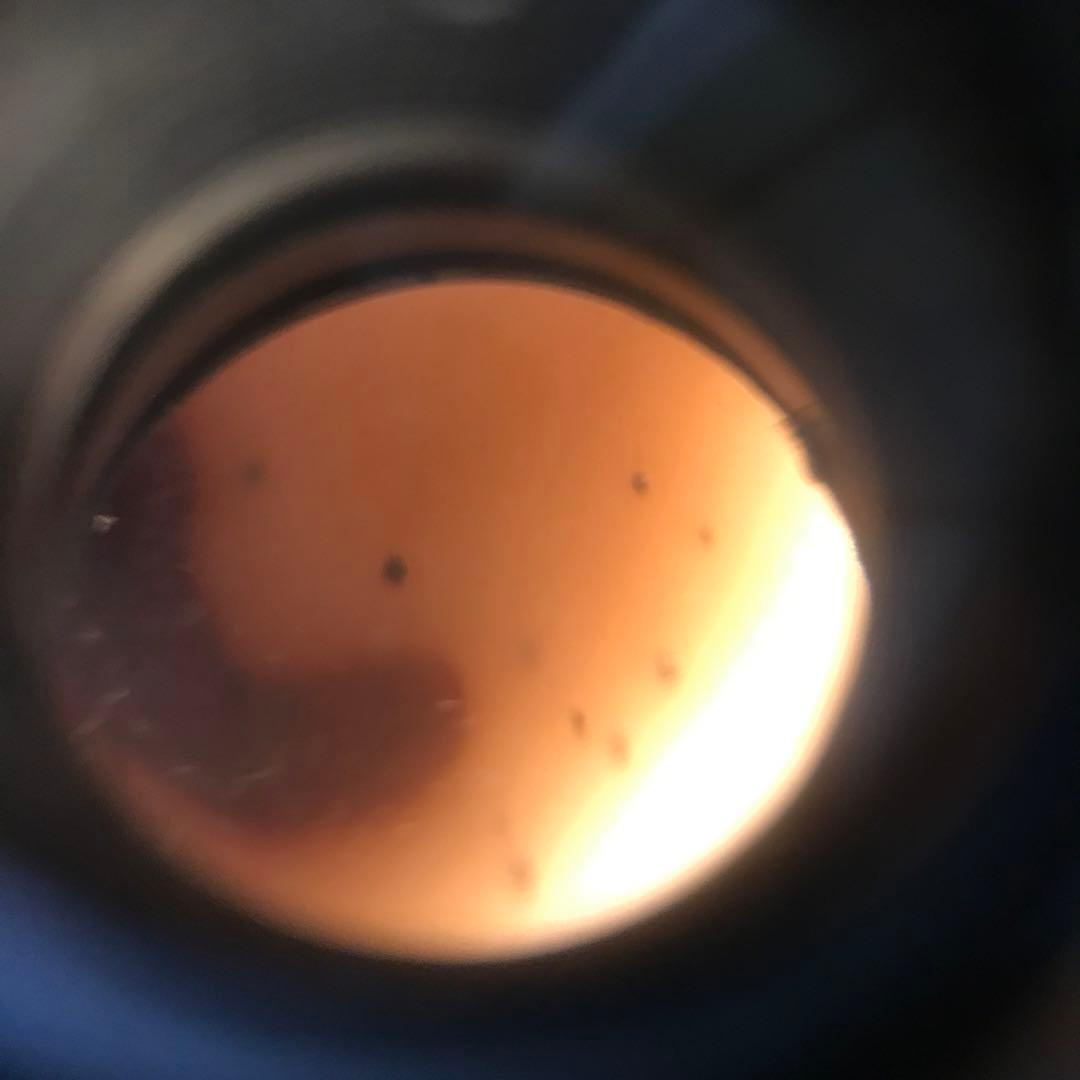 超激レア珍品‼︎ 小盧至純　初期の白五福臨紋天珠　黒朱砂がはっきり出ている