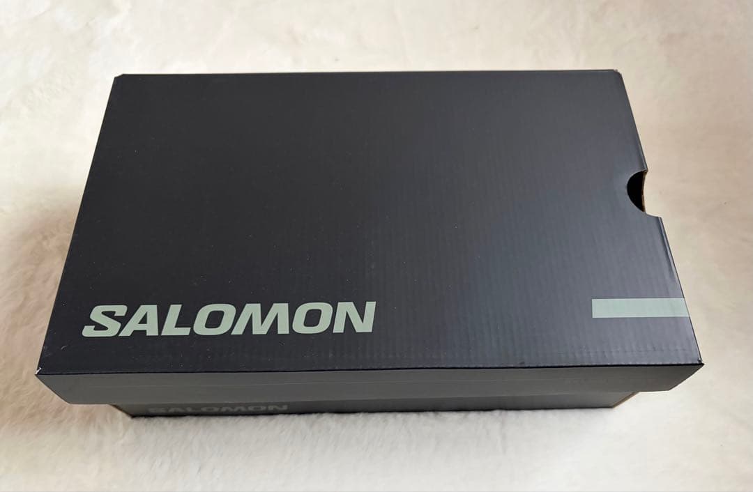 靴 SALOMON x CARHARTT WIP X-ALPBLACK 23.5cm