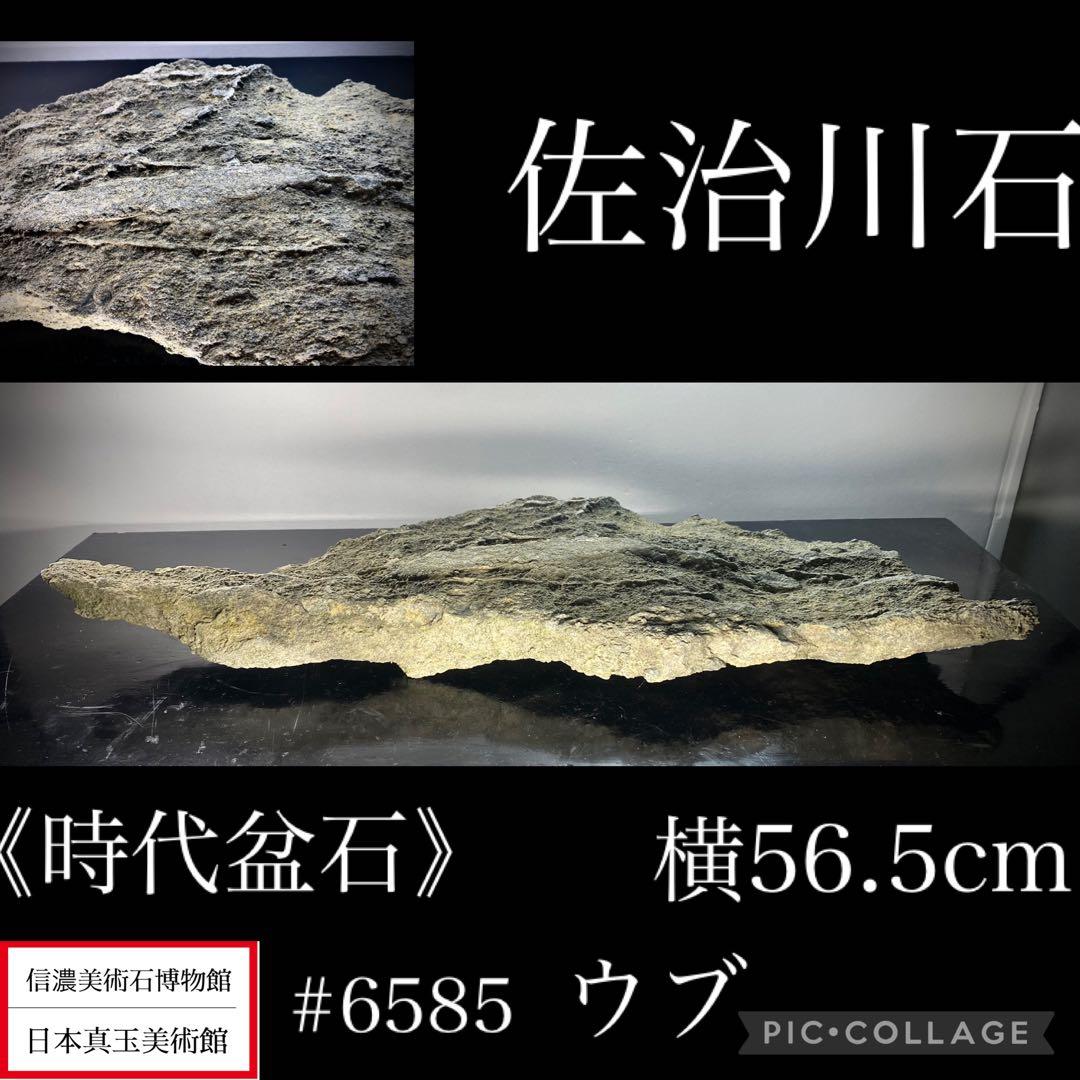 6585 佐治川石 ウブ 横56.5cm 重量:6kg 水石 盆栽 鑑賞石