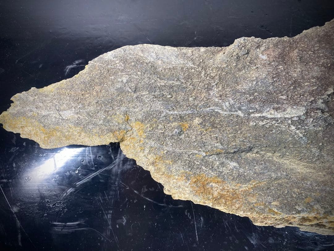 6585 佐治川石 ウブ 横56.5cm 重量:6kg 水石 盆栽 鑑賞石