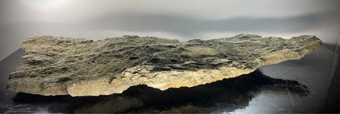 6585 佐治川石 ウブ 横56.5cm 重量:6kg 水石 盆栽 鑑賞石