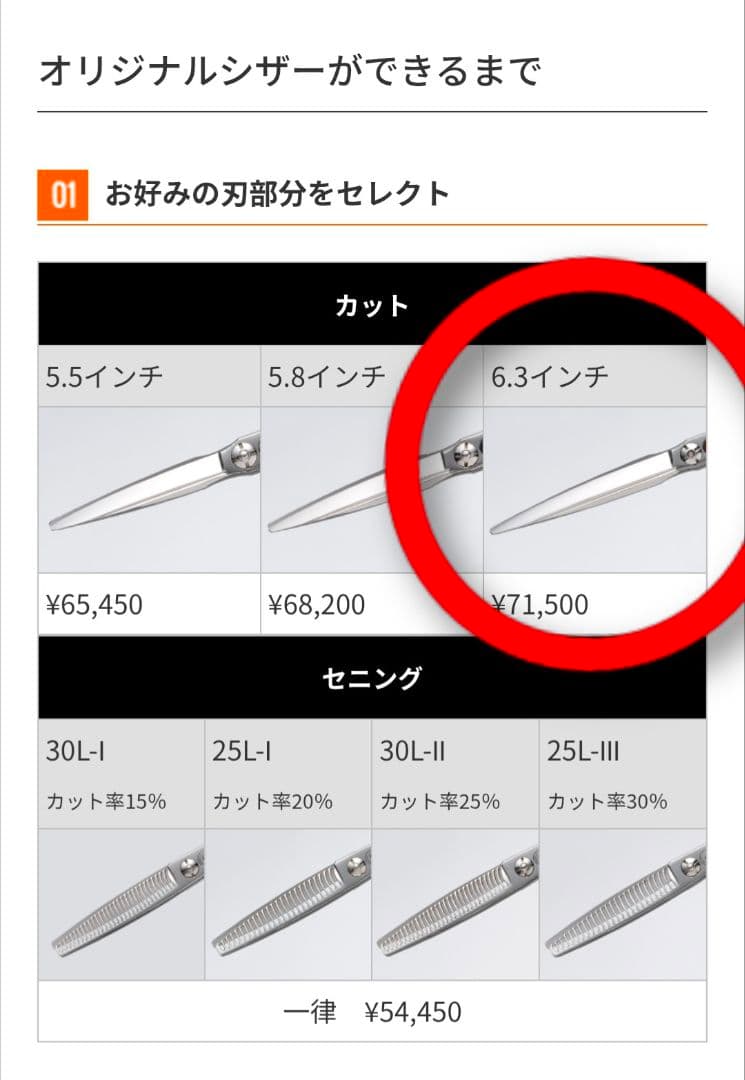 からくりシザー（アルファシザーのブランドと同じ製造元）おまけシザー付