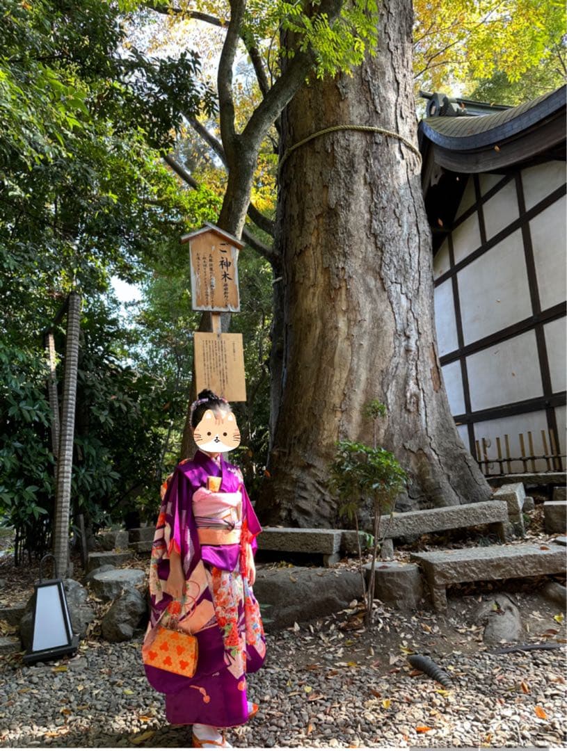 7歳七五三　着物　フルセット