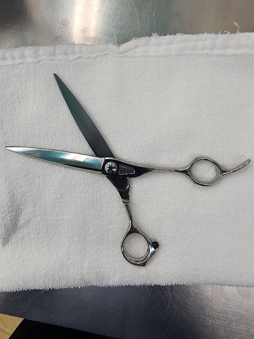 トギノン　マリン