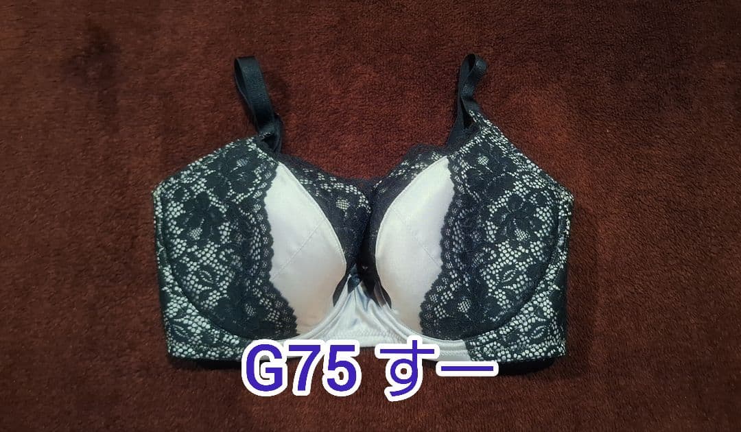 エクサブラ Exabra グラン アオミ G75 特許取得 ブラ 日本製