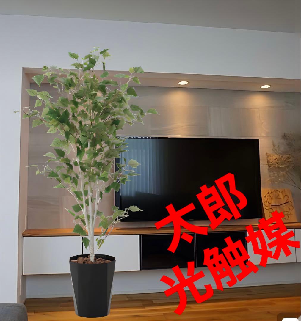 光触媒　人工観葉植物　ウォールグリーン　フェイクグリーン　白樺1.4m