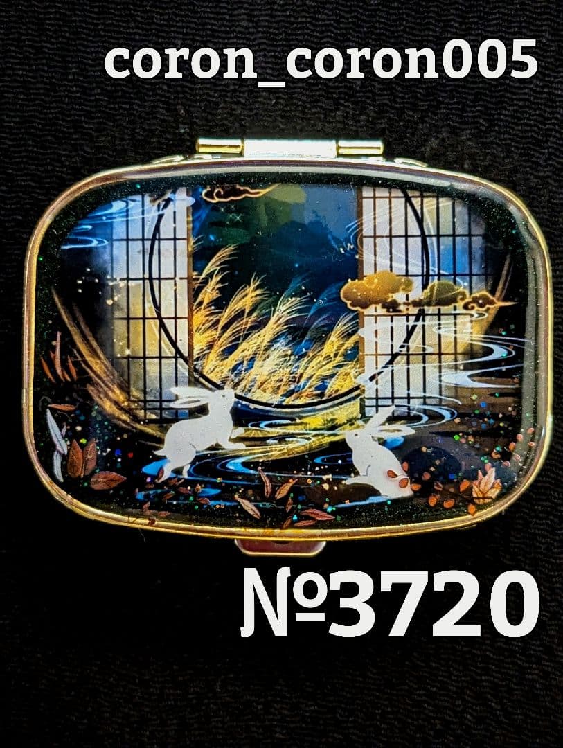 ✿MARI様·専用✿ハンドメイド　ピルケース