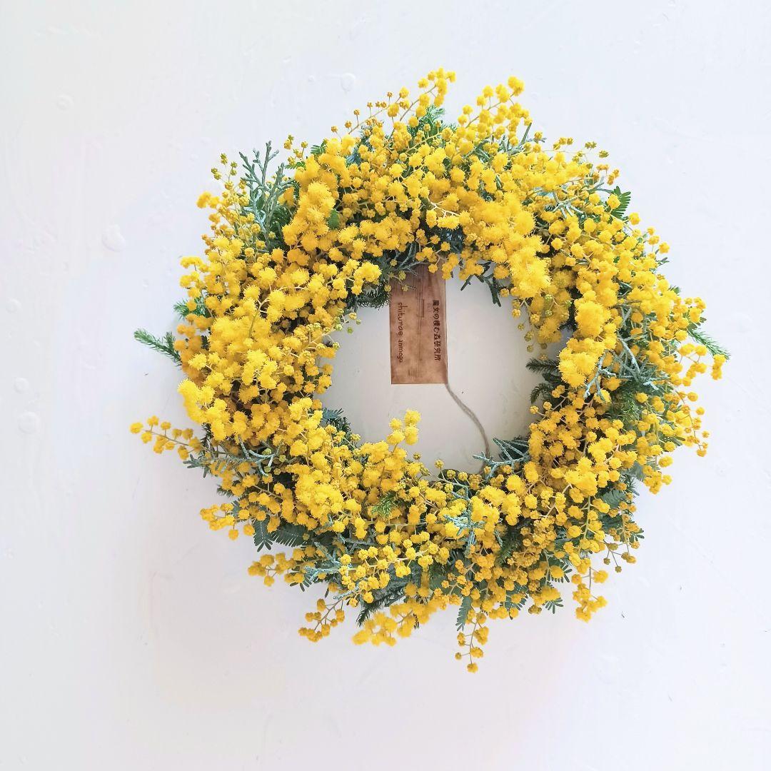 新品 未使用 ミモザ リース ドライフラワー 30cm 【ご予約スタート】