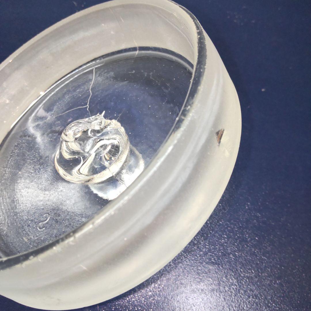 標本瓶 特大希少 ガラス製 レトロ アンティーク