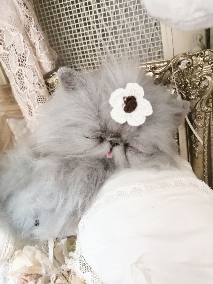 おねむちゃん♡エキゾチック子猫ちゃん♡アートドール♡ぬいぐるみ♡