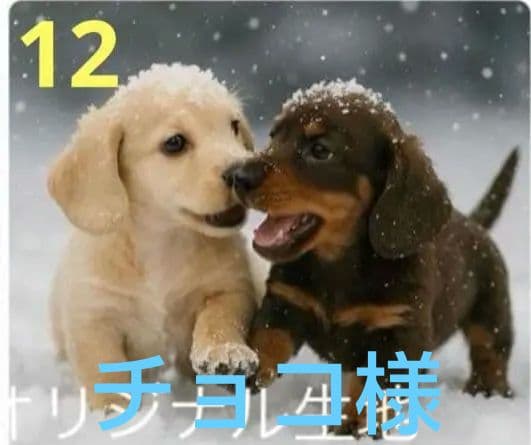 ご確認用　りんりん様パネル　ハンドメイド　11/29