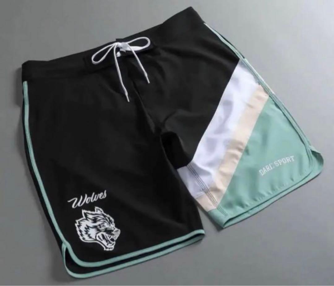 darc sport ステージショーツ　サーフパンツ