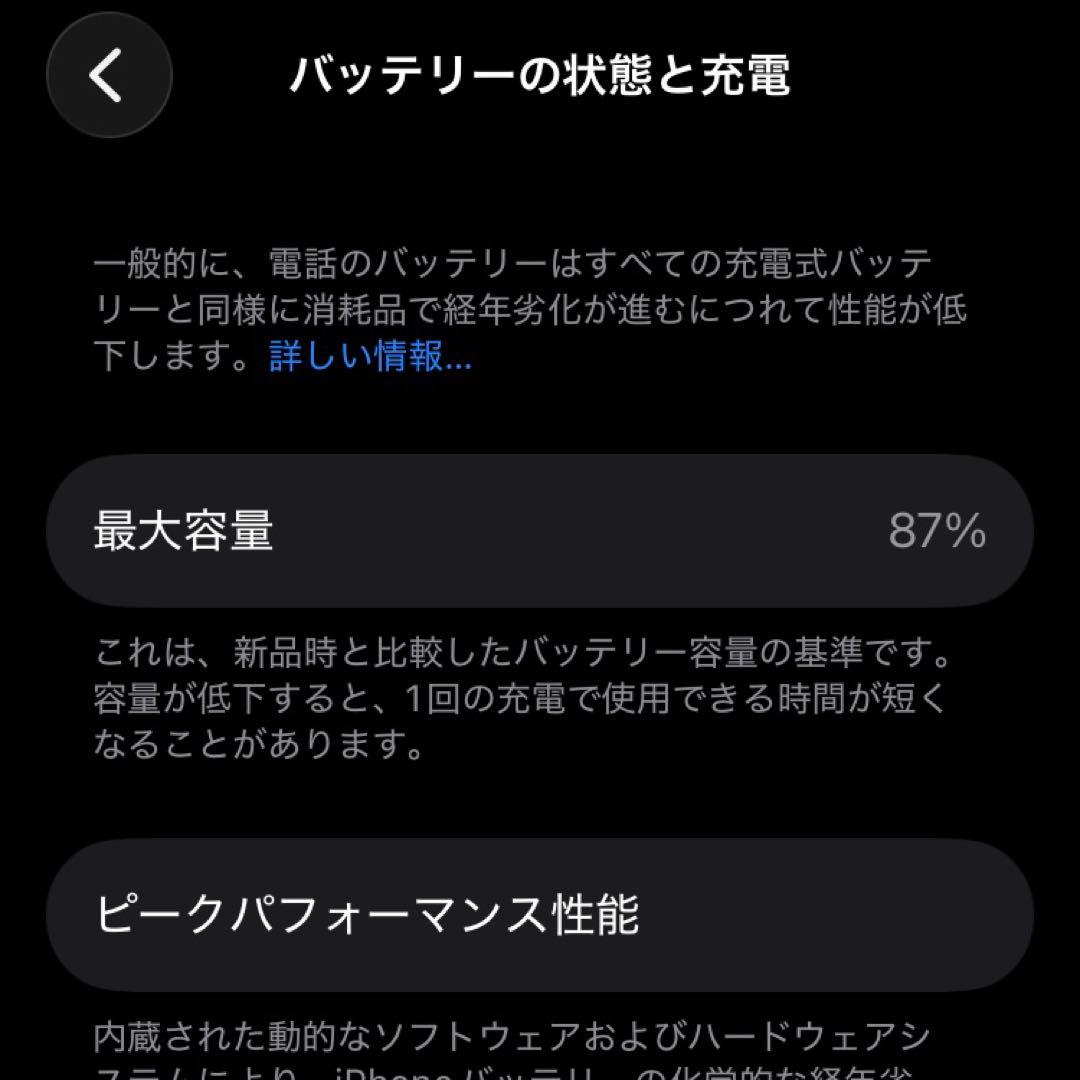 Apple iPhone SE 第三世代 ケース付き Anker充電器付き