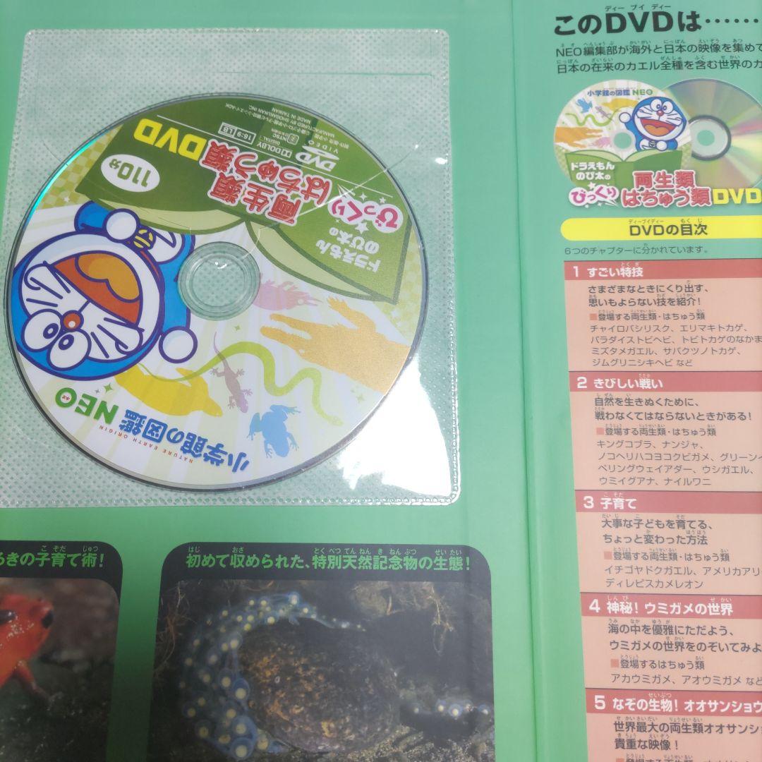 DVD付き　小学館の図鑑NEO　小学館の子ども図鑑プレNEO　計16冊セット
