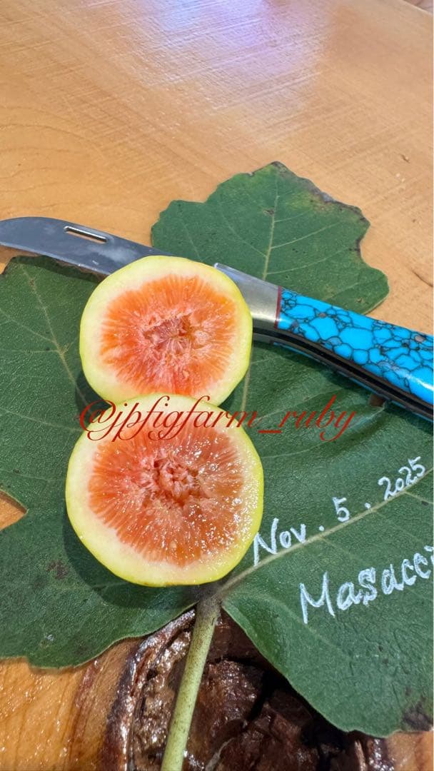 専用です。超お得超絶イチジク穂木2本セット