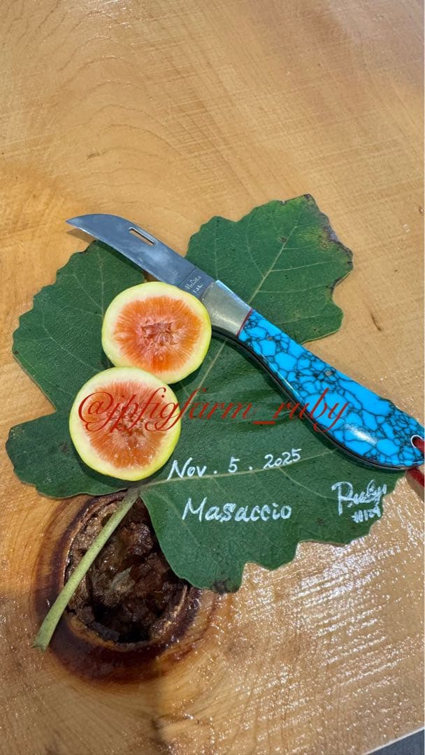 専用です。超お得超絶イチジク穂木2本セット