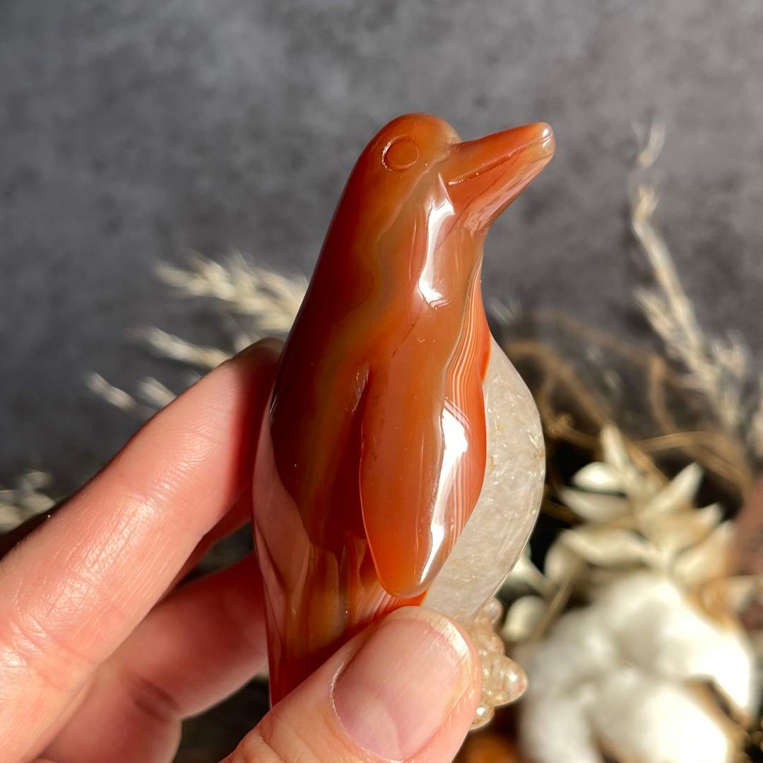 カーネリアン ペンギン インテリア小物