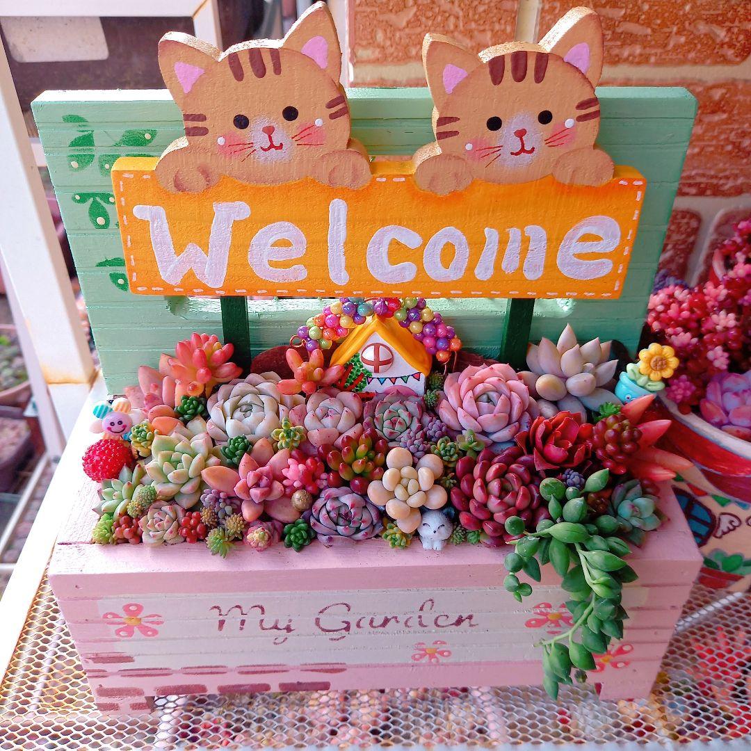 ❤️専用❤️多肉植物❤️そのまま飾れる寄せ植え❤️