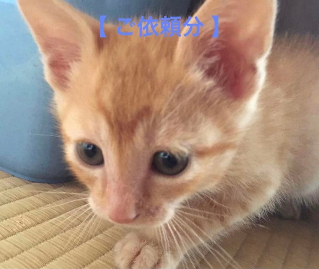 【 おにぎり 様 】