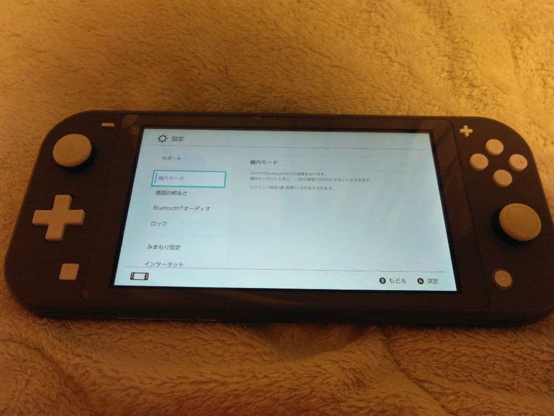 スイッチライトグレー2019年モデル