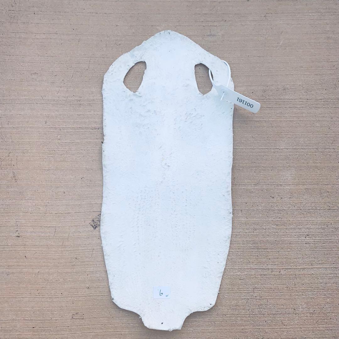 16)エイ革 鮫革 鮫皮 stingray ガルーシャ スティングレイ