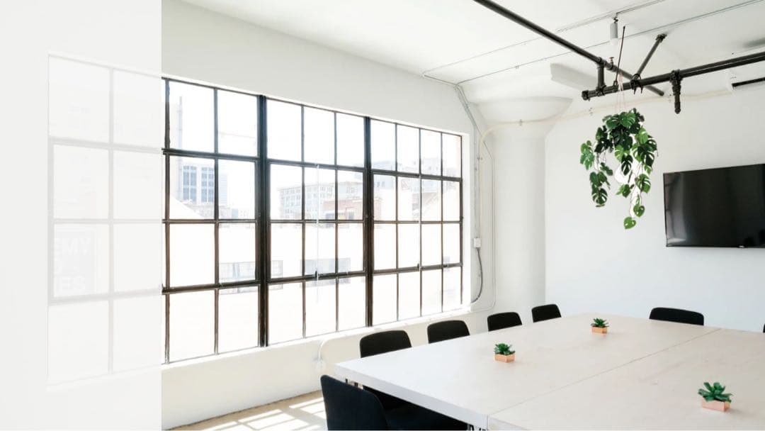 モンステラ 吊り下げ　お洒落　ハンキング　　ヒメモンステラ　観葉植物のある暮らし