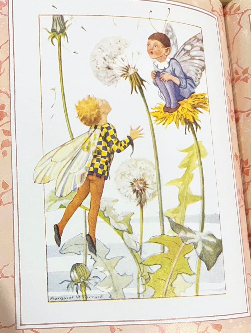 No151 希少　洋書 絵本 フラワーフェアリーズ 花の妖精