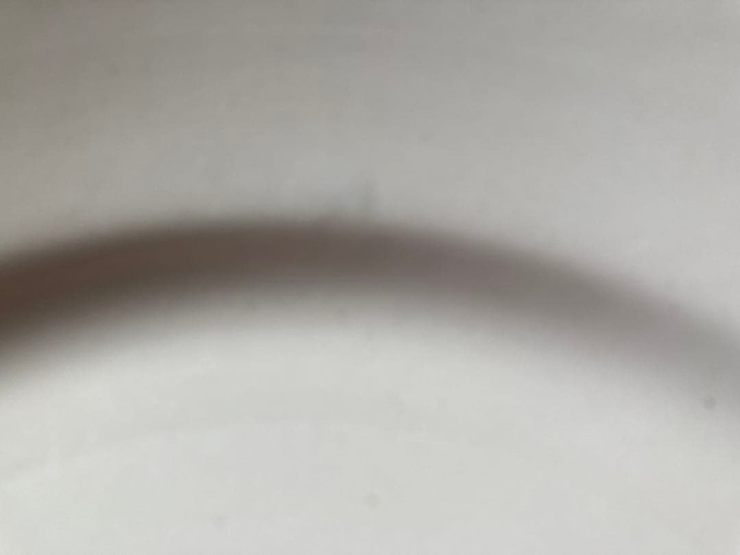 3枚組 BOCH アンティーク 花リム 白　ディナー皿23cm