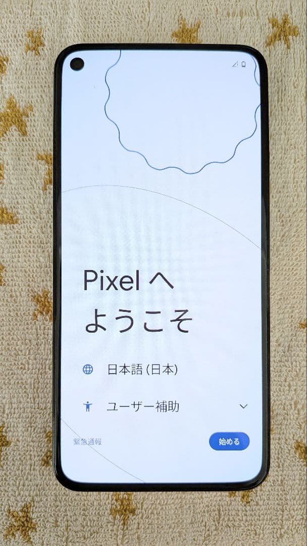 Google Pixel 5 （Sorta Sage/SIMフリー）本体