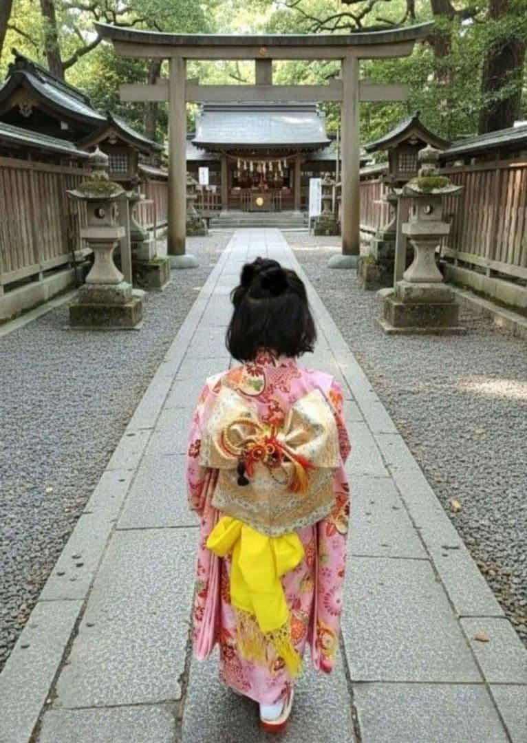 【お値下げ中】【現物の着画あり（前・後）】肩上げ済み！七五三 着物フルセット