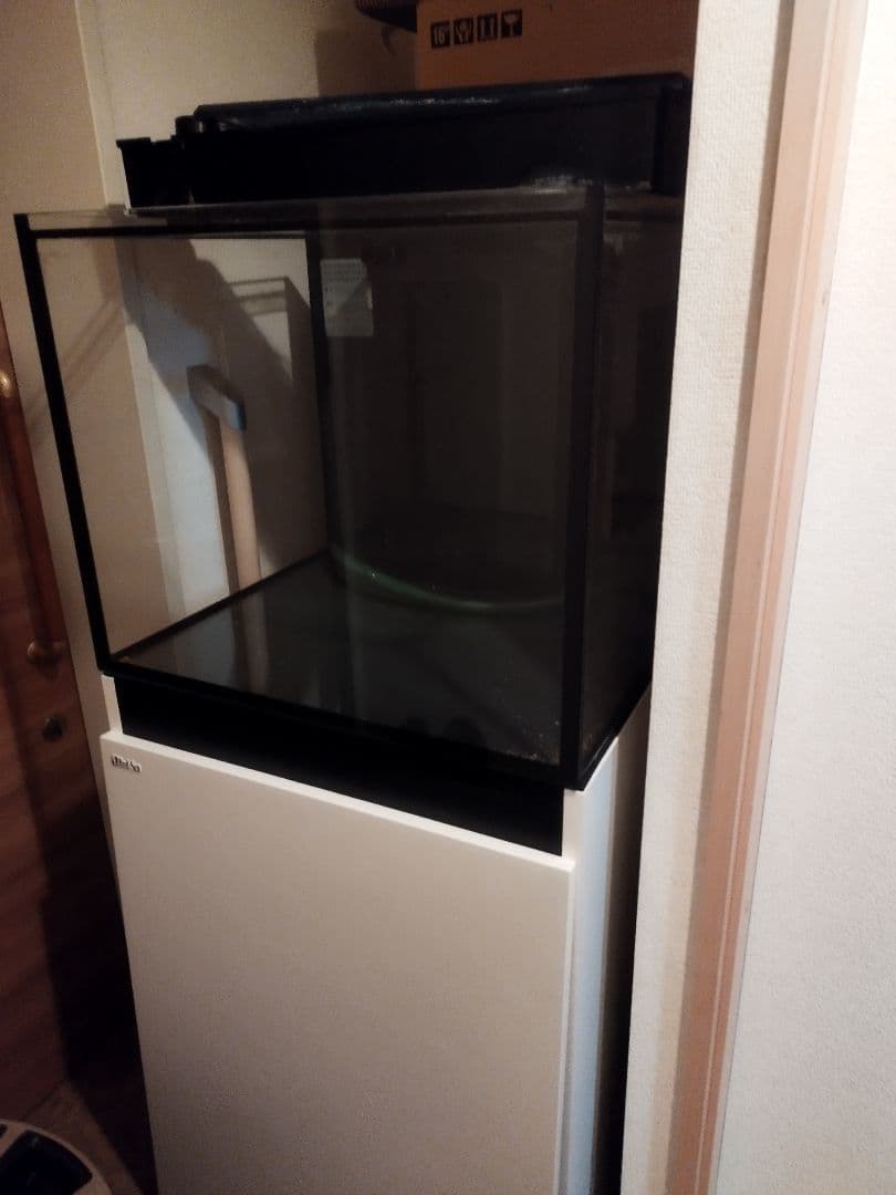 レッドシーリーファ170G2