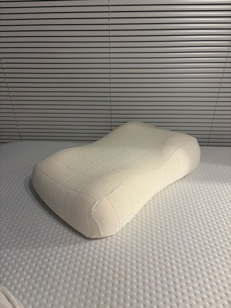 SLEEPY TOFU 豆腐の低反発まくら (フォーム) スタンダード