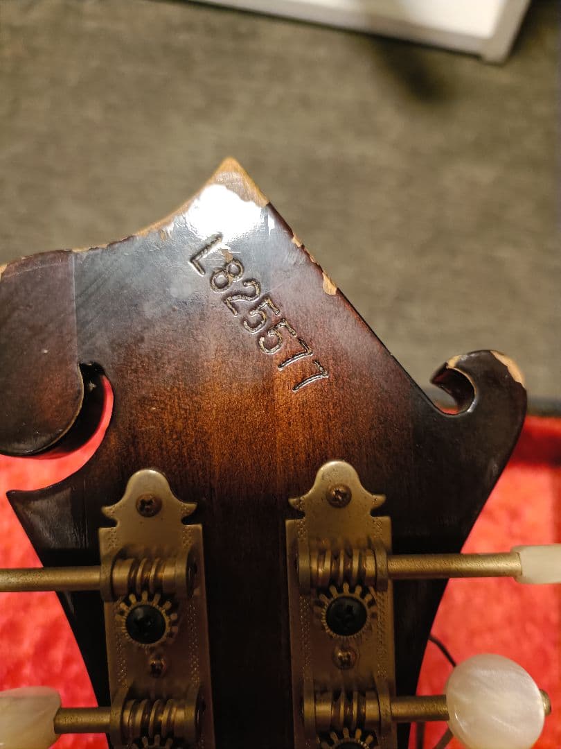 Blue Bee F-12 マンドリン Fタイプハードケース付ジャンク扱い現状品