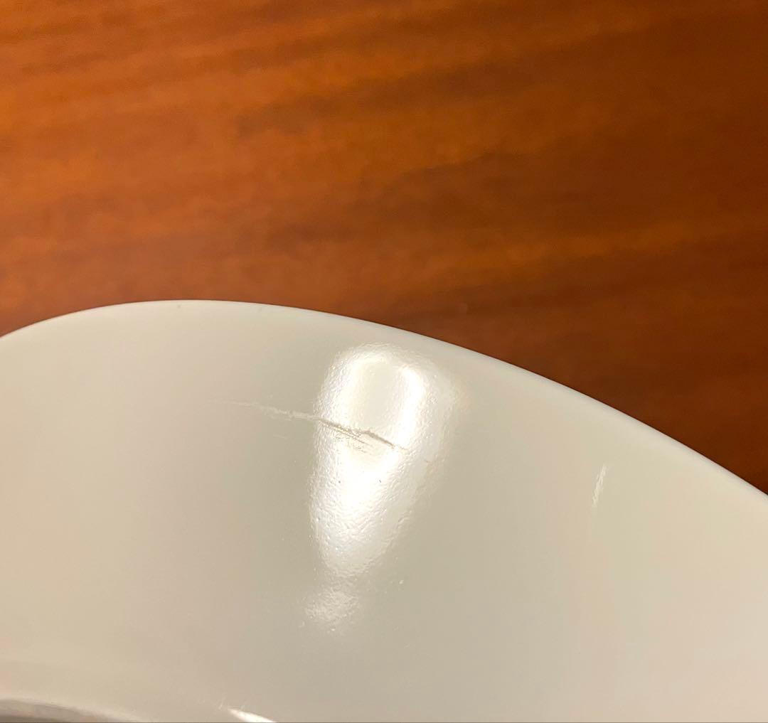 ARABIA Runo spring アラビア ルノ スプリング プレート 2