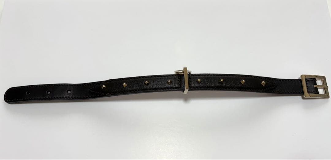 GUCCI激レアヴィンテージ 首輪リードセット