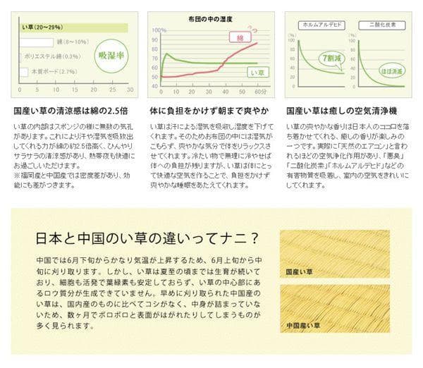 添島勲商店 国産 い草花ござ ラグ 紋織り 約190ｘ190cm No757