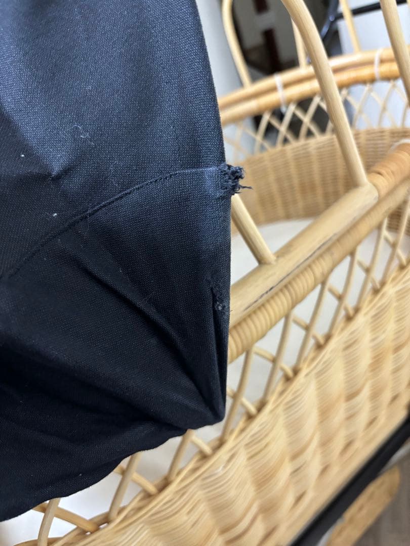 プスプス　東京乳母車