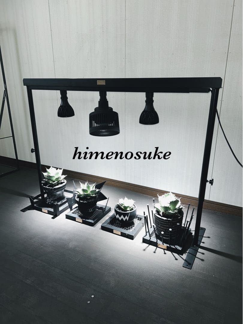 ☆送料込み☆水受けトレー付アイアン植物棚　即購入OK アガベ　塊根　什器