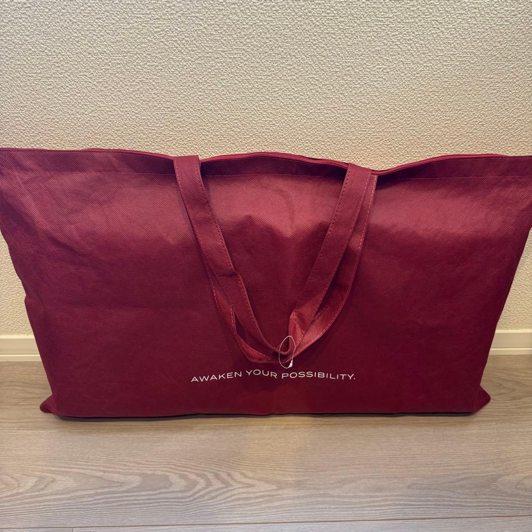 BRAIN SLEEP スタンダード 枕 専用収納バッグ付き