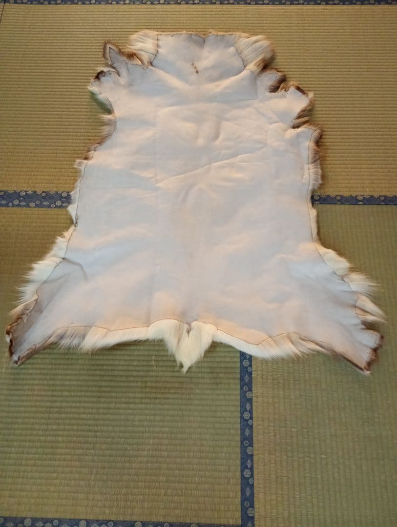 トナカイ毛皮　ラグ