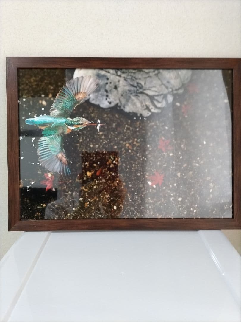 カワセミの絵画 ブラウンフレーム