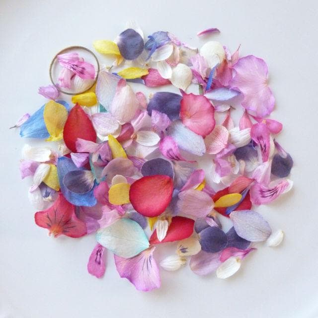 えり様◆【訳あり】ドライフラワー 花びら mix（703 ハンドメイド 素材）