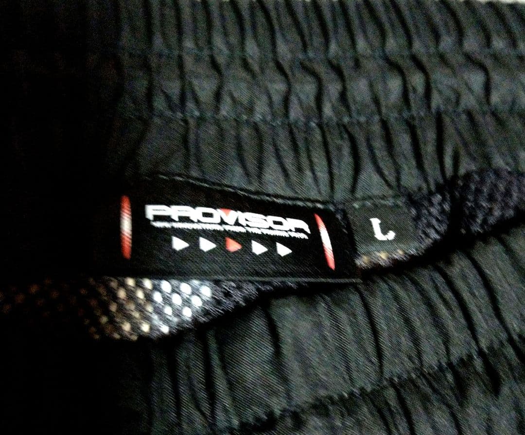 ダイワ PROVISORレインスーツ GORE - TEX おまけ付き