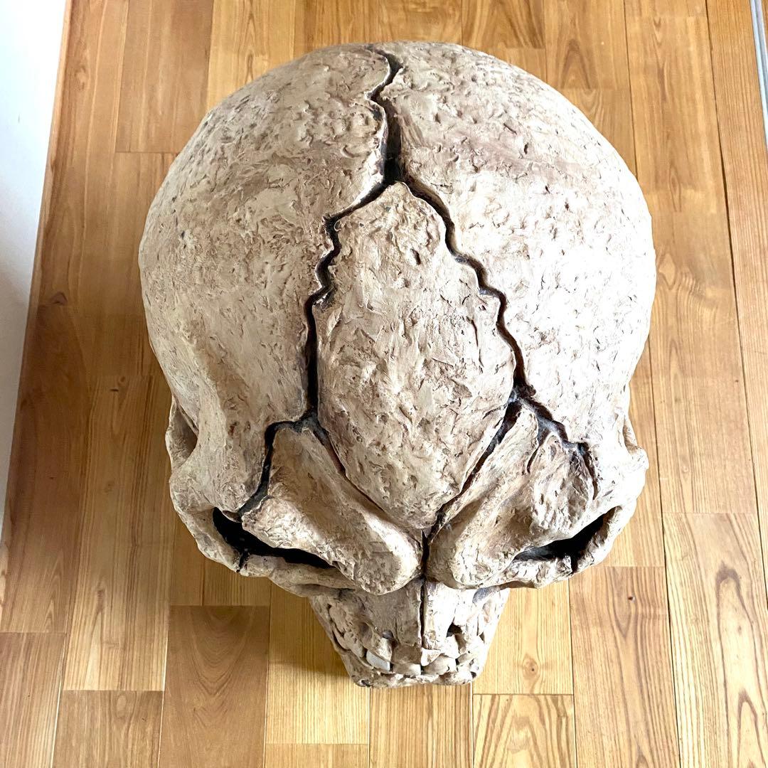 超大型 目が光る 喋る スカル ドクロ 髑髏 高さ約56cm 置物 オブジェ