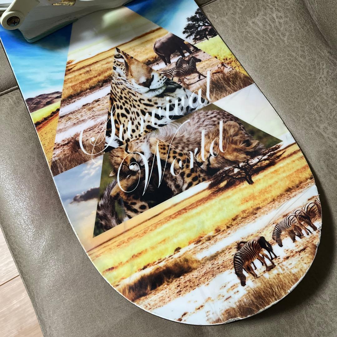 HOLIDAY ALLDAY 138×UNION ROSA M