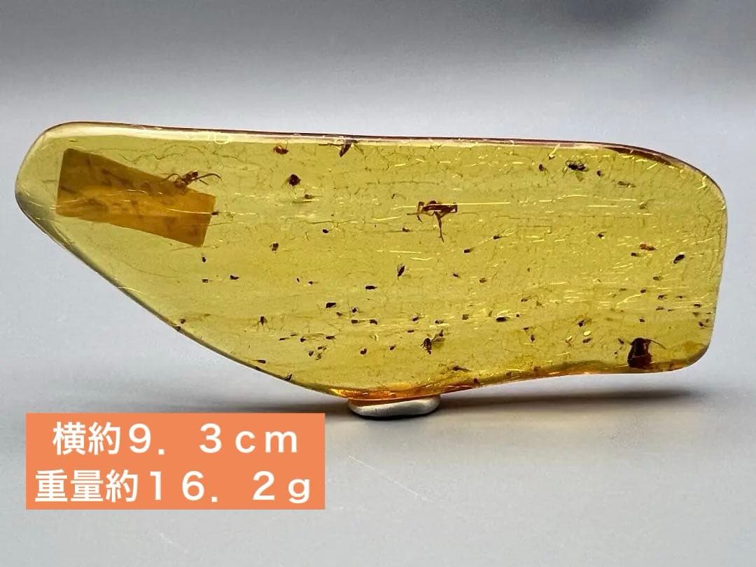 虫入り琥珀　蜘蛛　蚊　大量小さい虫内包　バルティックアンバー　バルト海沿岸地域産