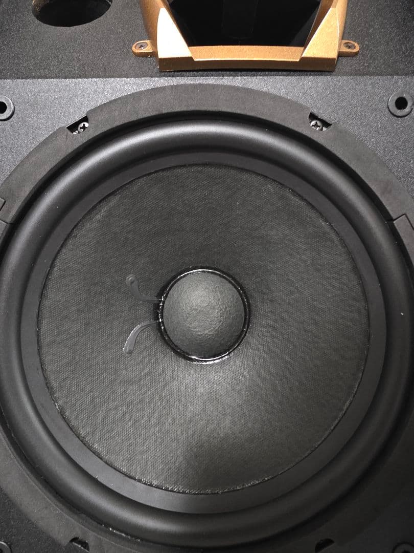 Karaoke スピーカーCLASSIC PRO KT200BR　ペア