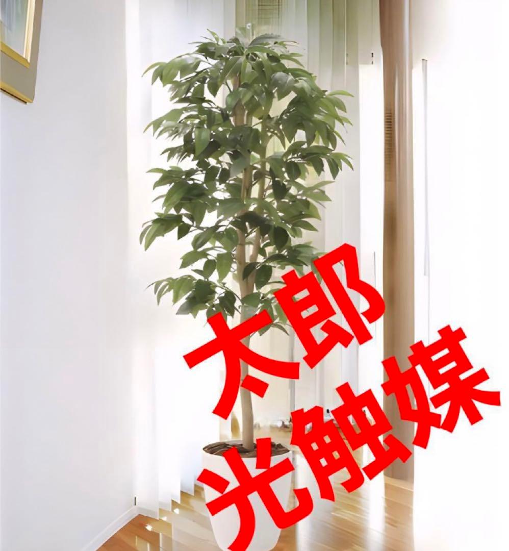 光触媒　人工観葉植物　ウォールグリーン　フェイクグリーン アルデシア130